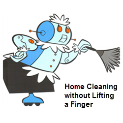 Home Cleaning without Lifting a Finger